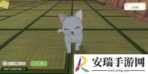 小森生活随记
