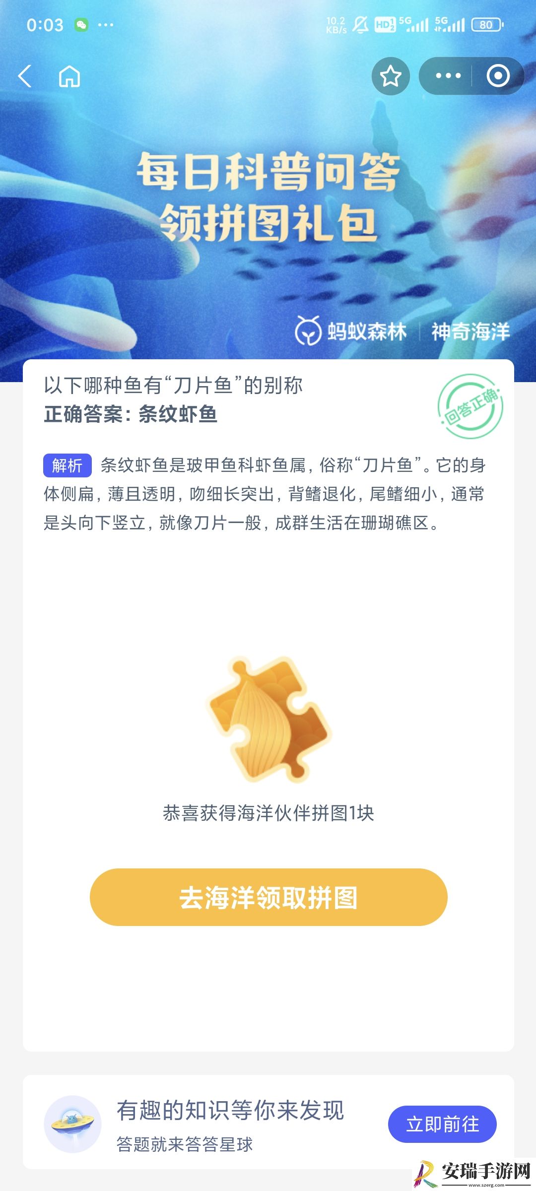 以下哪种鱼有刀片鱼的别称
