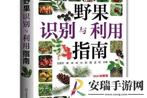 YY帝国捕兽夹使用指南与特点介绍