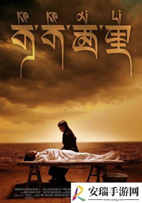 可可西里大但人文艺术
