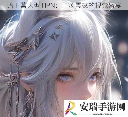 暗卫营大型HPN