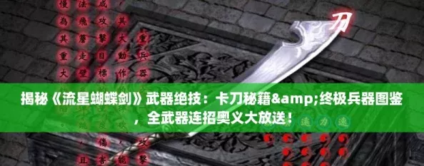 揭秘流星蝴蝶剑武器绝技