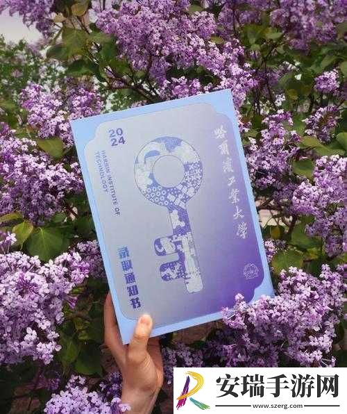 进入世界的9个密码书籍款式