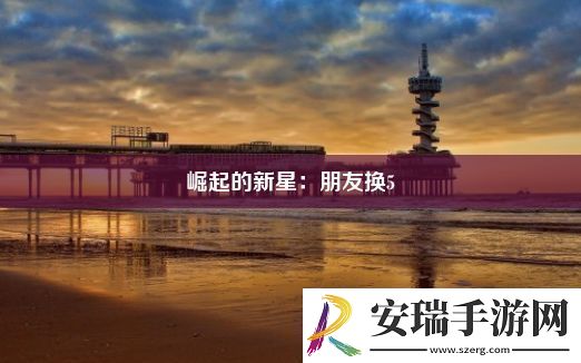崛起的新星