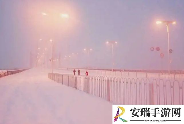 YSL千人千色T9T9T9T9产品深度解析与用户体验分享