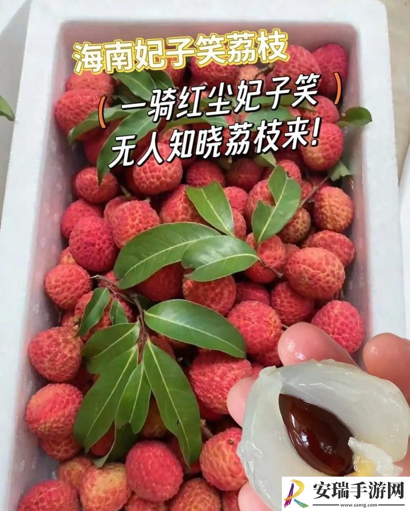 推进荔枝之路