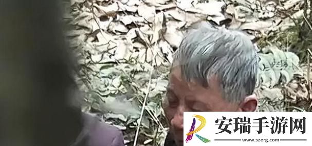 老年公园镖客