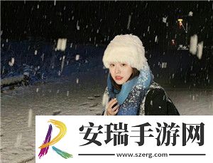 角色扮演系统NPN赵青蔓