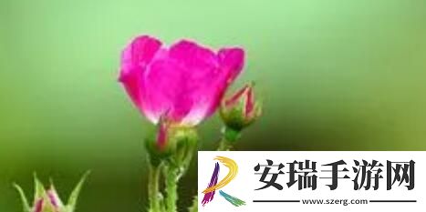 恶灵附身