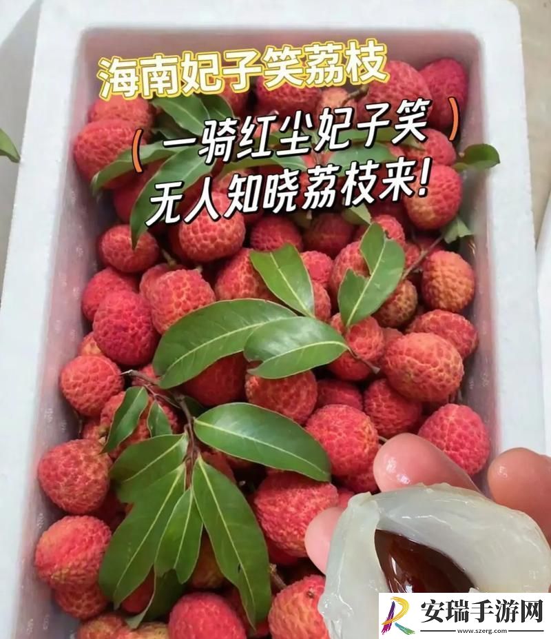 推进荔枝之路