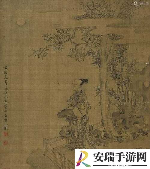 天美董小宛