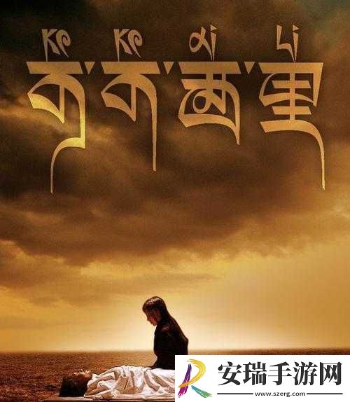 可可西里大但人文艺术
