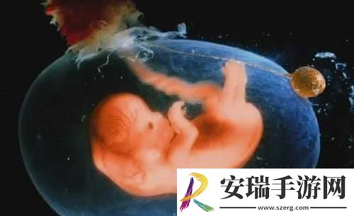 胎儿露头