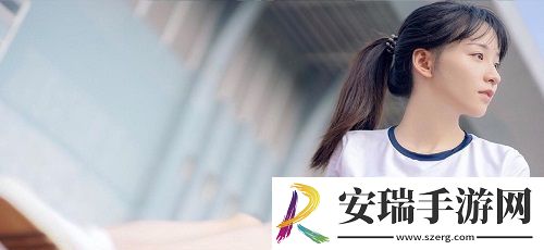 成品网站1688入门网