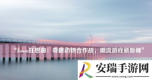 “Zoum狂想曲