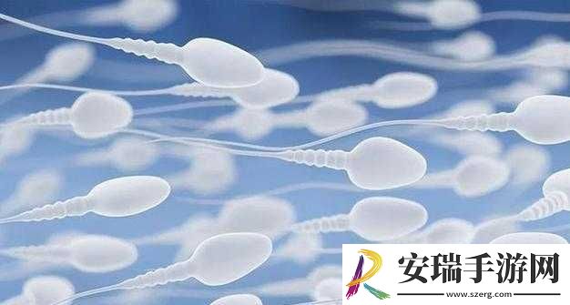 系统需收集**升级