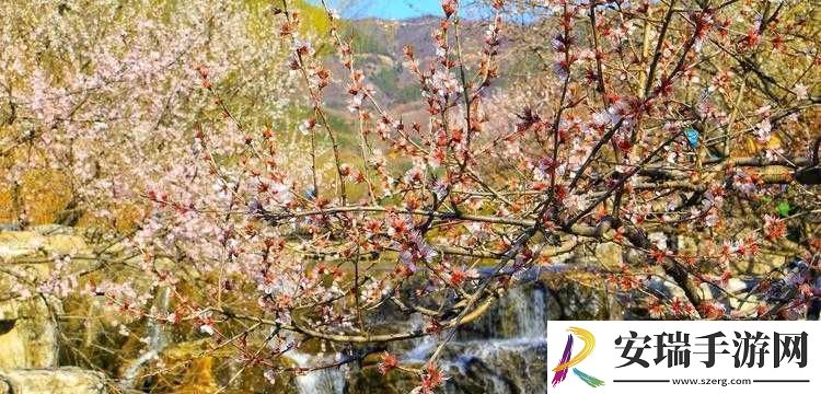 桃花洞口已是溪水潺潺
