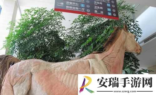 探索人马是怎么样配的种技术的奥秘