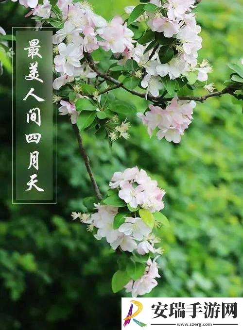 亭亭玉立国色天香四月天