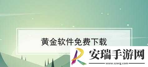 黄金站软件