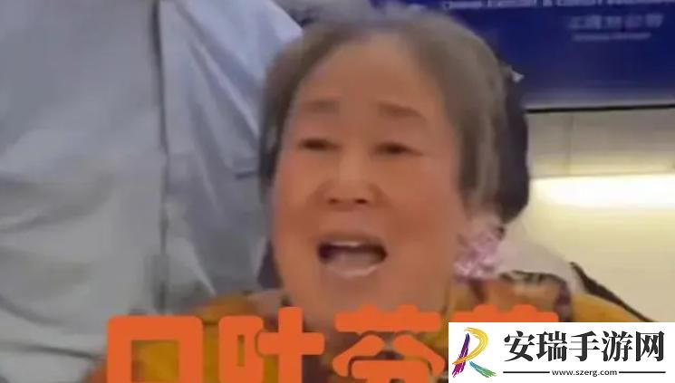 暴躁大妈荒