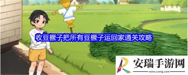 就我眼神好收豆橛子怎么过