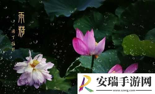 老人船上弄雨荷第十二集跚钢