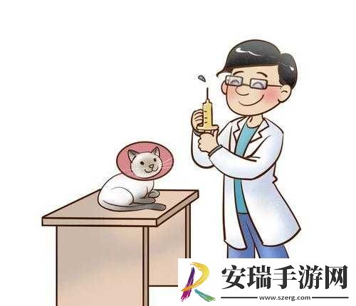 姬喵详解