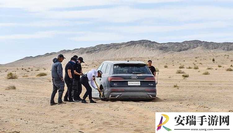 欧洲无人区码SUV