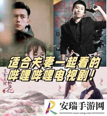 适合夫妻一起看的哔哩哔哩电视剧