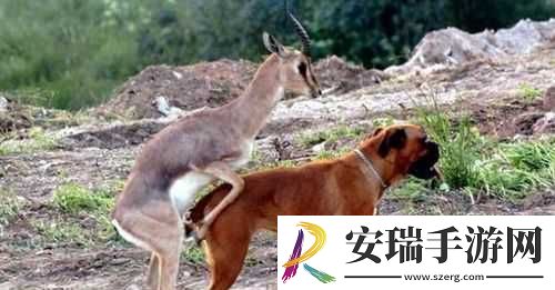 苏清歌