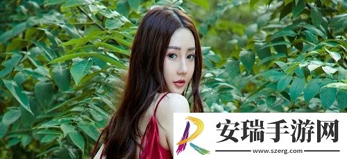 双龙入侵1v2对战模式攻略