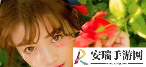 免费网站在线观看高清版电视剧