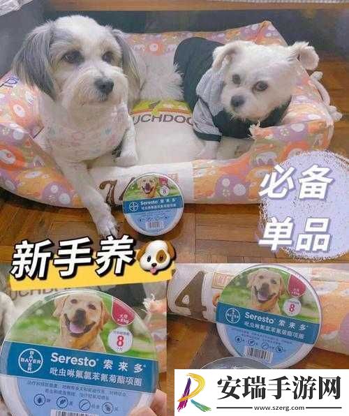 人狗胶配方大全狗狗