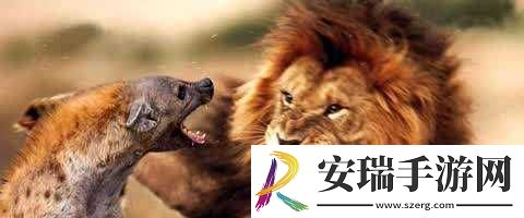 动物Zoom