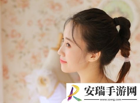 国际B站免费视频入口MBA智库互动活跃