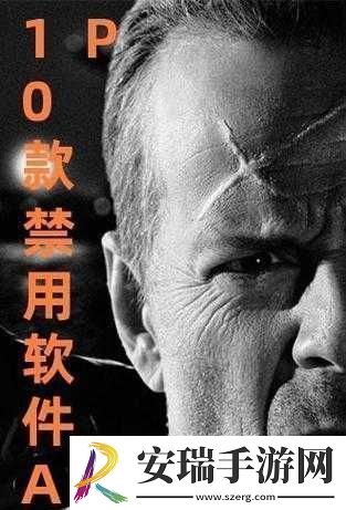 100款夜间禁用APP下载站