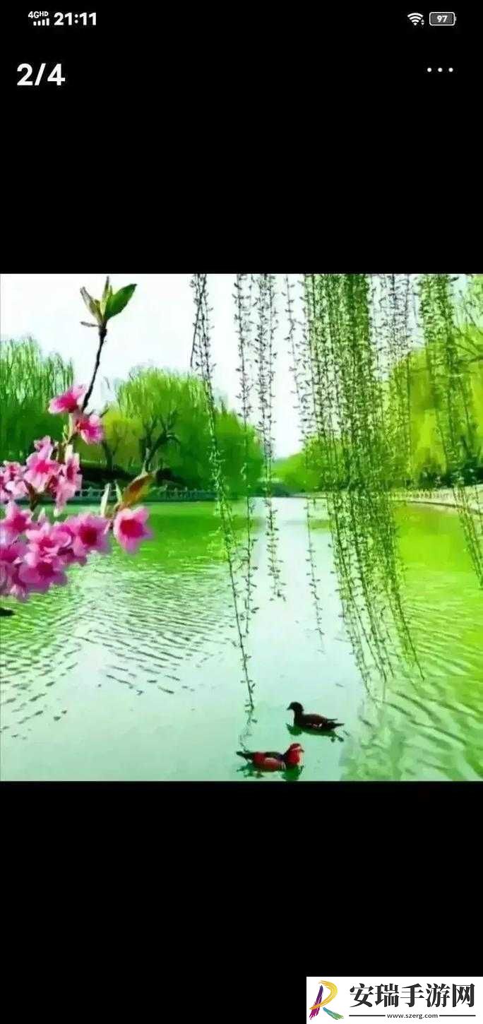 桃花流水芳草萋萋