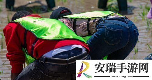 外国情侣插秧“神操作”