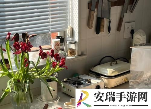 “厨春”网潮