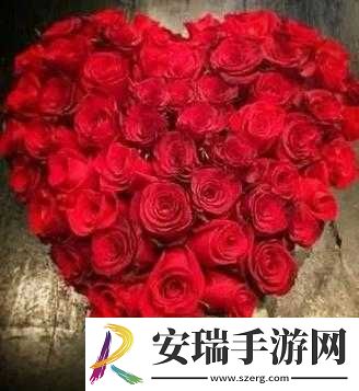 你是玫瑰
