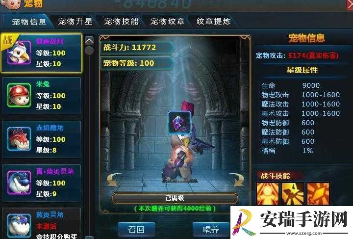 魔龙勇士之宠物系统简述