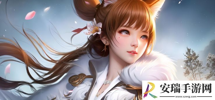 探索墙纸的魅力