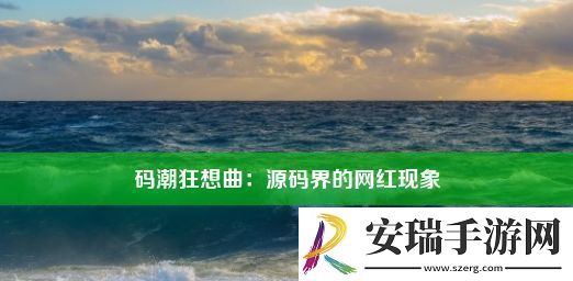 码潮狂想曲
