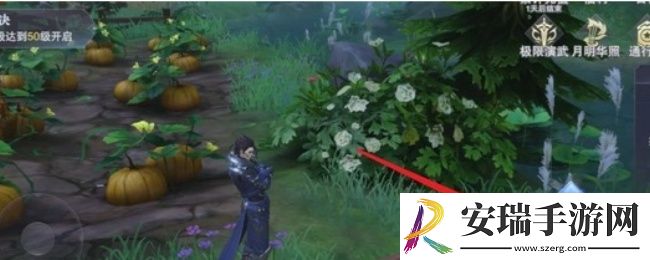 斗罗大陆手游村庄宝箱在哪