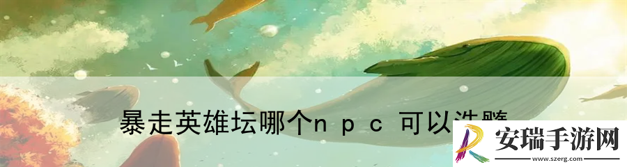暴走英雄坛哪个npc可以洗髓
