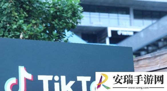 美国十几个州起诉TikTok