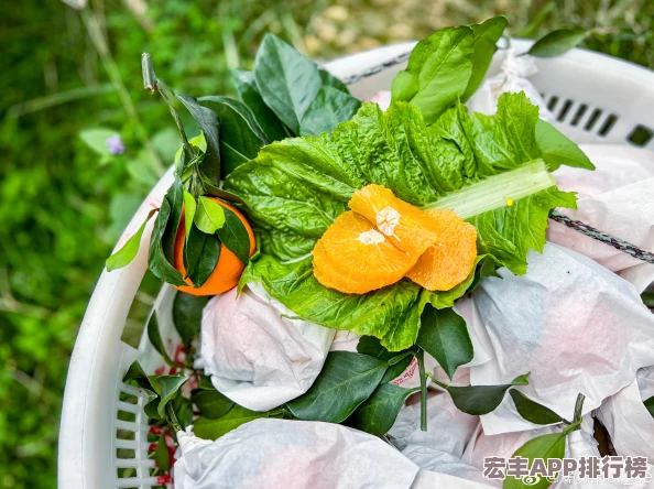 绿巨人樱桃荔枝青青草