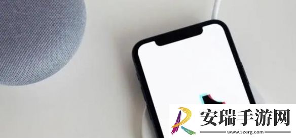 美国十几个州起诉TikTok