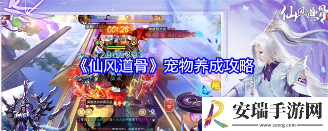 仙风道骨宠物怎么养成